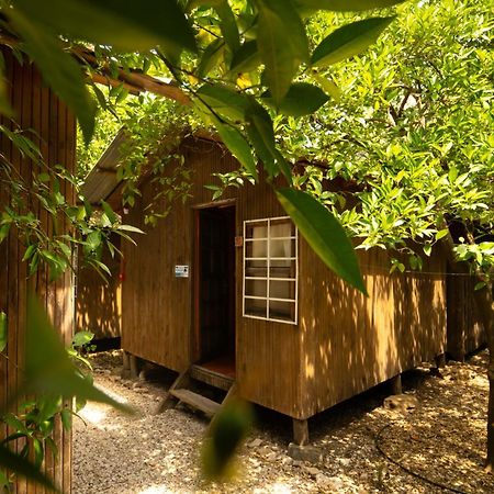 Olympos Yakamoz Pansiyon Buitenkant foto