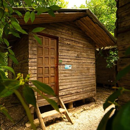 Olympos Yakamoz Pansiyon Buitenkant foto