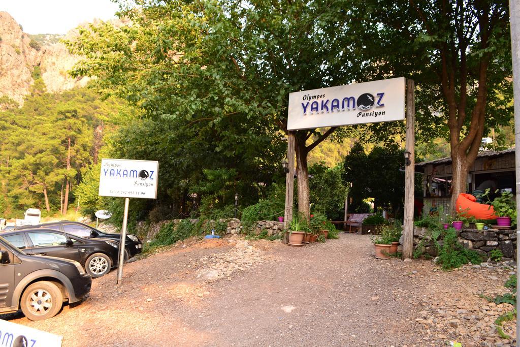 Olympos Yakamoz Pansiyon Buitenkant foto
