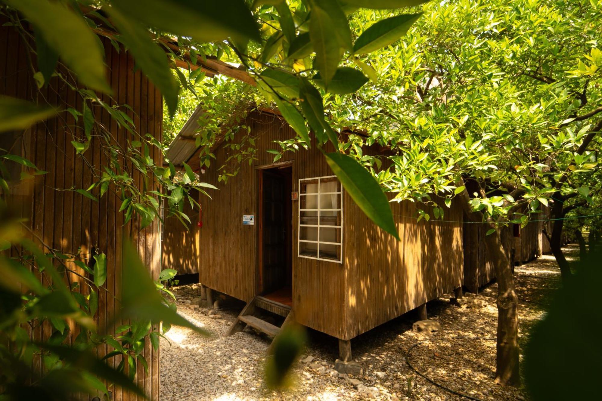 Olympos Yakamoz Pansiyon Buitenkant foto