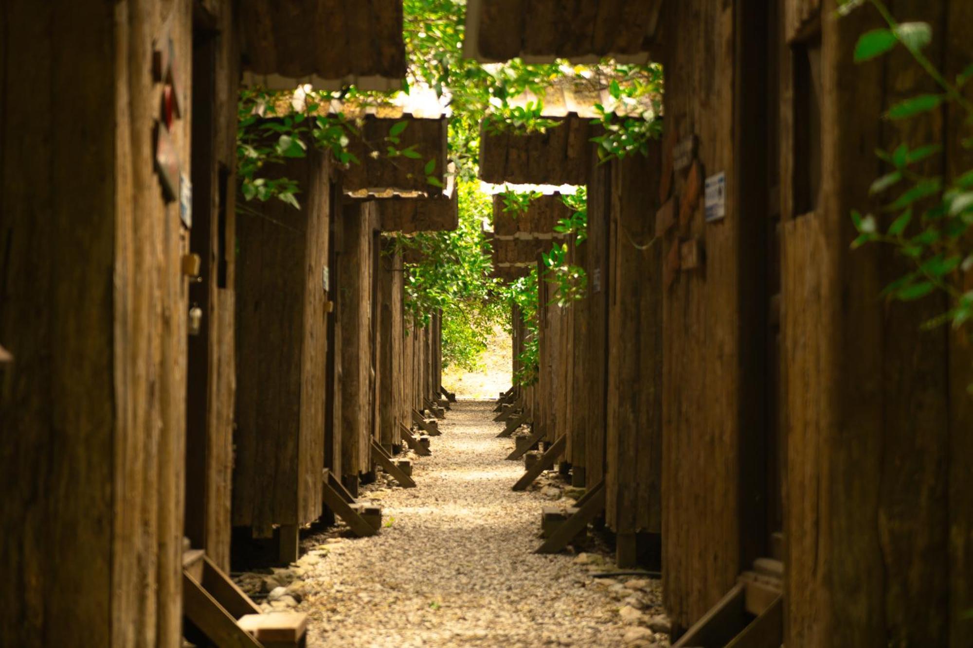 Olympos Yakamoz Pansiyon Buitenkant foto