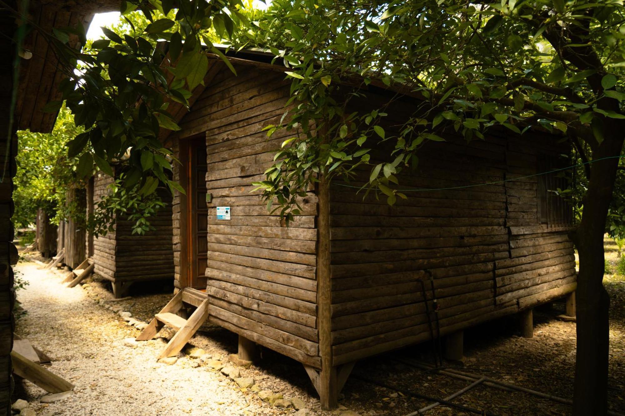 Olympos Yakamoz Pansiyon Buitenkant foto