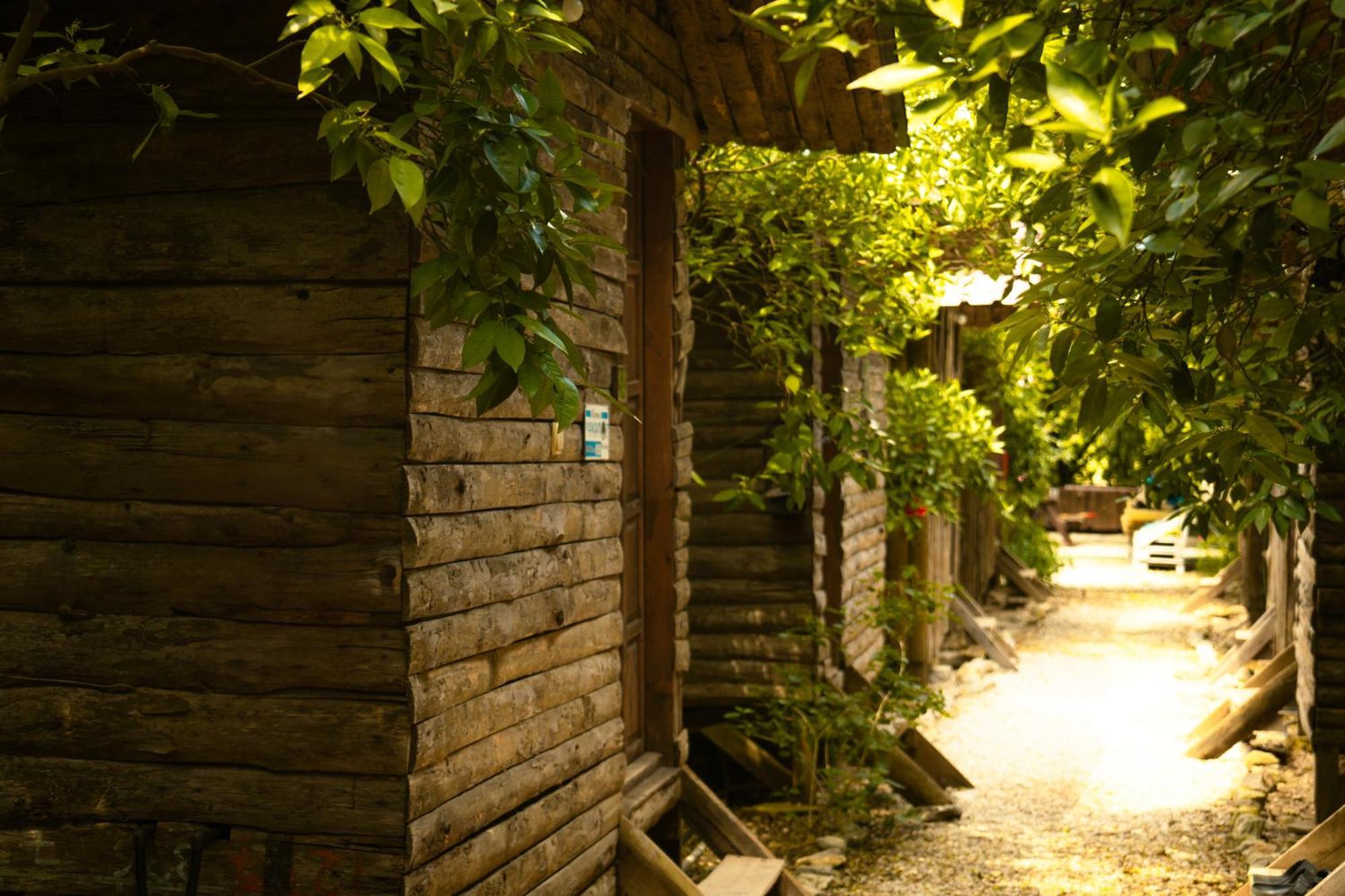 Olympos Yakamoz Pansiyon Buitenkant foto