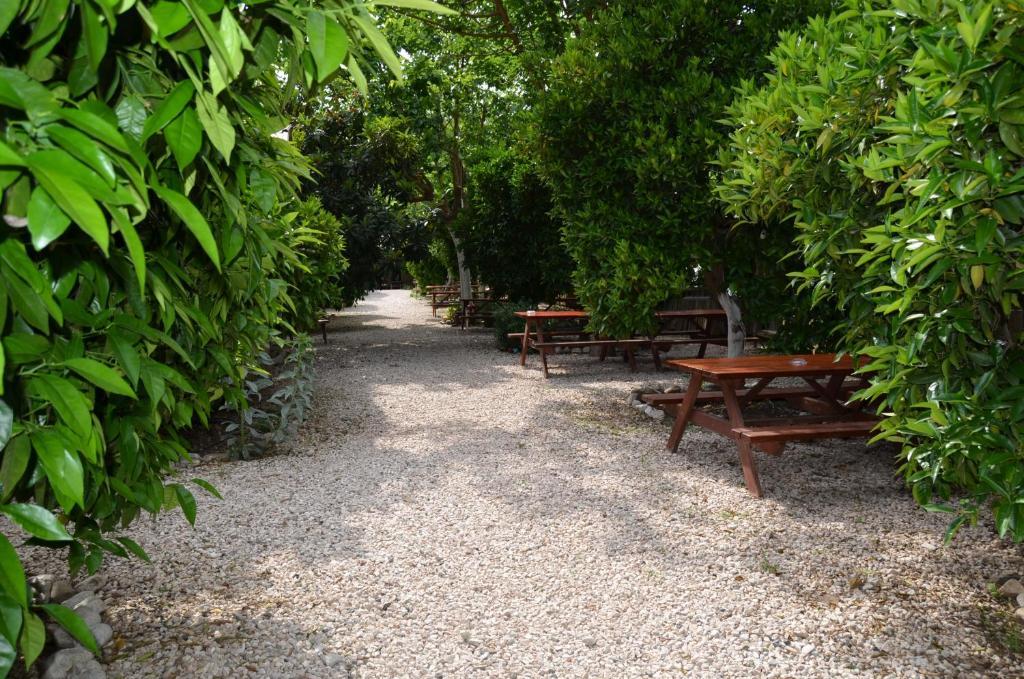 Olympos Yakamoz Pansiyon Buitenkant foto