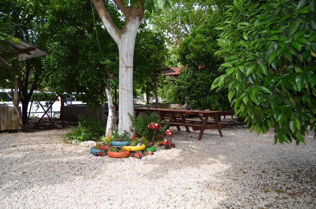 Olympos Yakamoz Pansiyon Buitenkant foto