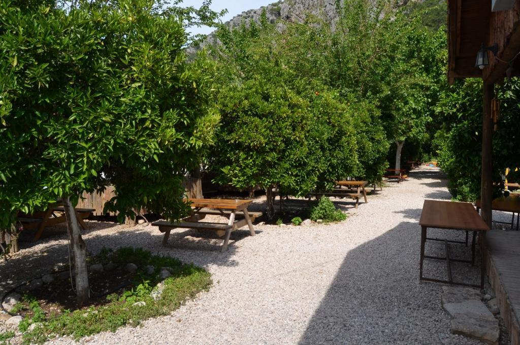 Olympos Yakamoz Pansiyon Buitenkant foto