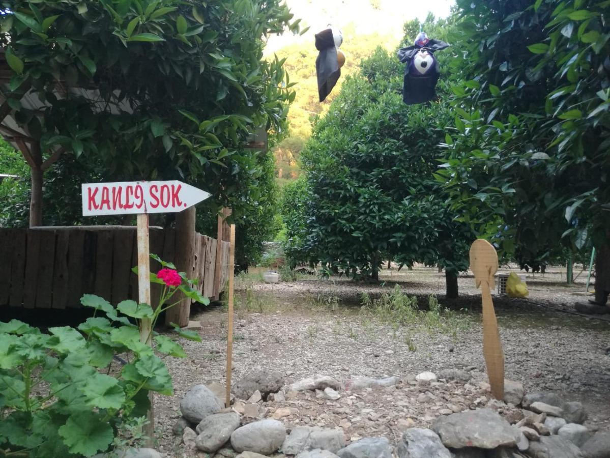 Olympos Yakamoz Pansiyon Buitenkant foto
