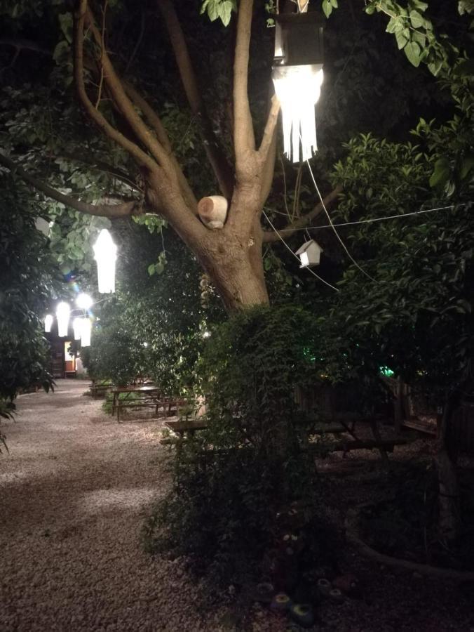 Olympos Yakamoz Pansiyon Buitenkant foto