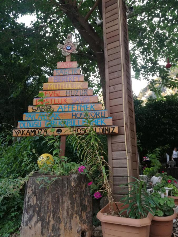 Olympos Yakamoz Pansiyon Buitenkant foto