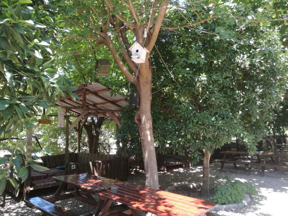 Olympos Yakamoz Pansiyon Buitenkant foto