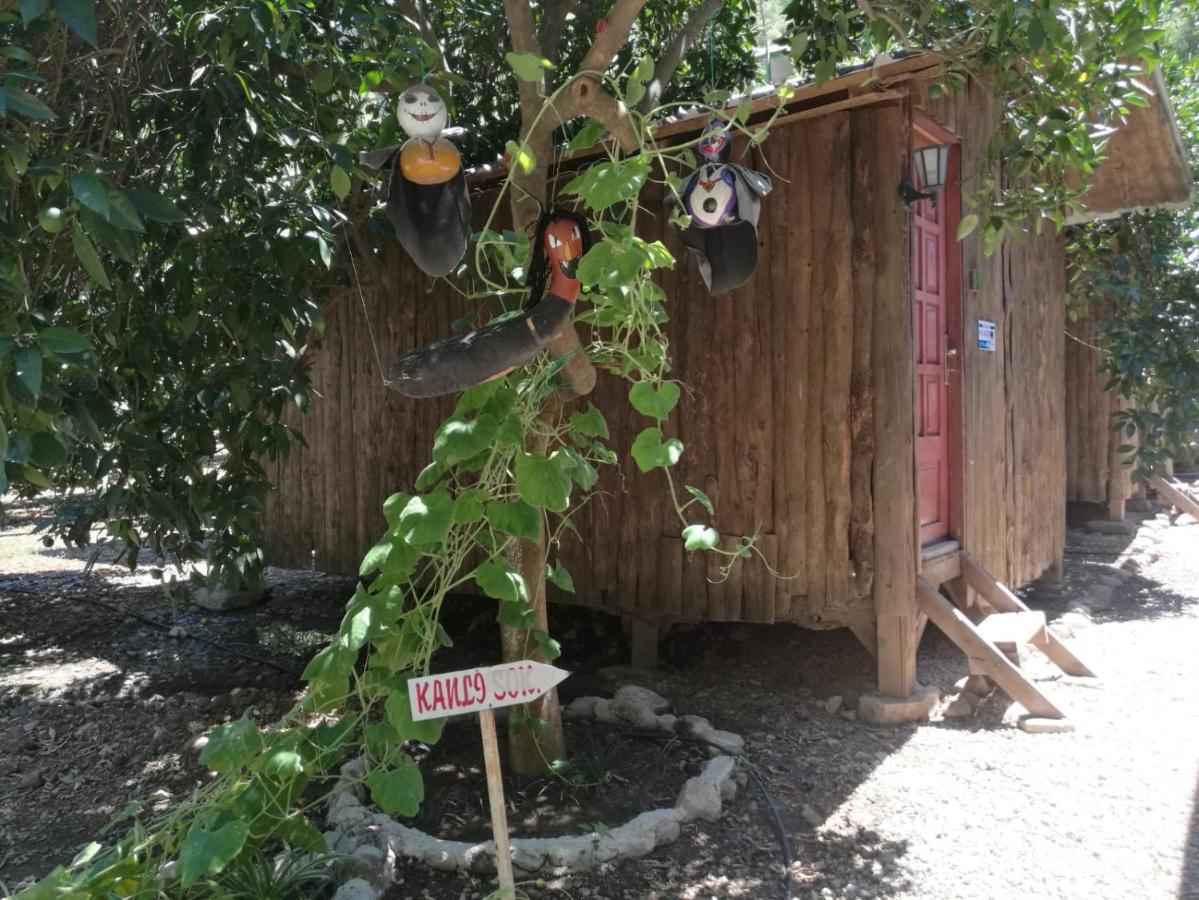 Olympos Yakamoz Pansiyon Buitenkant foto