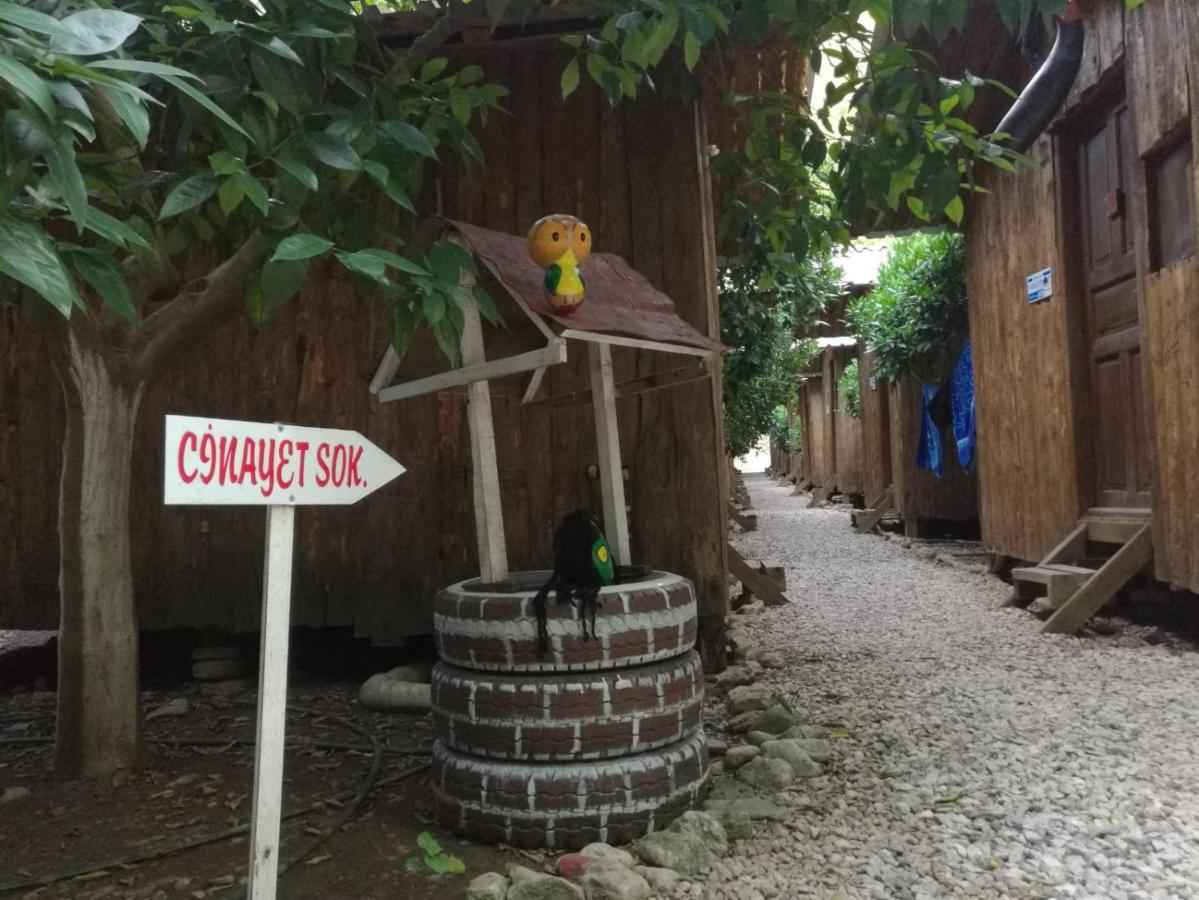 Olympos Yakamoz Pansiyon Buitenkant foto