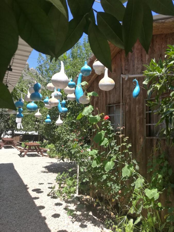 Olympos Yakamoz Pansiyon Buitenkant foto