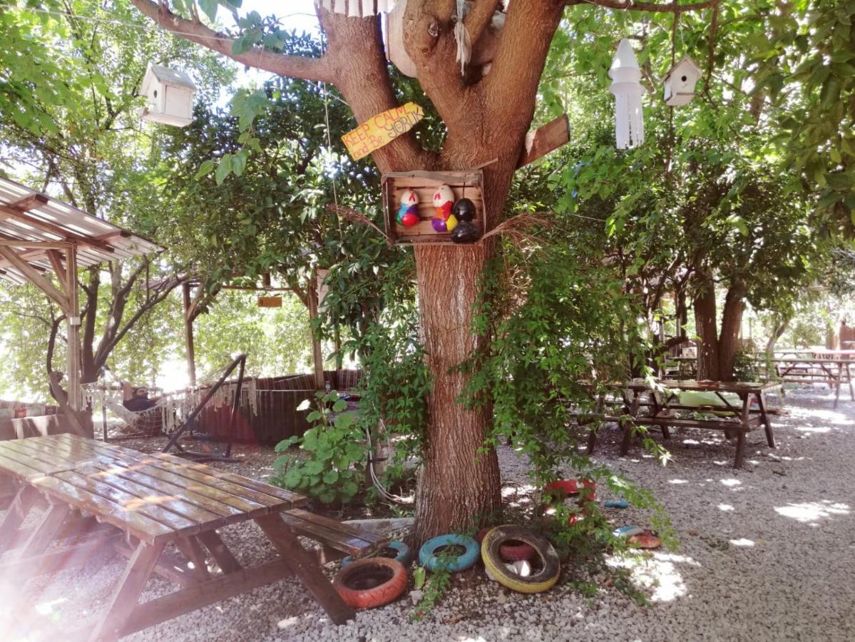 Olympos Yakamoz Pansiyon Buitenkant foto