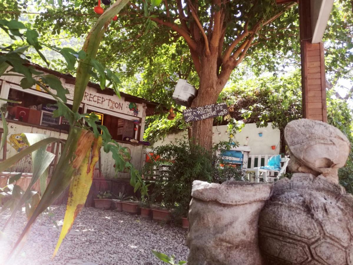 Olympos Yakamoz Pansiyon Buitenkant foto