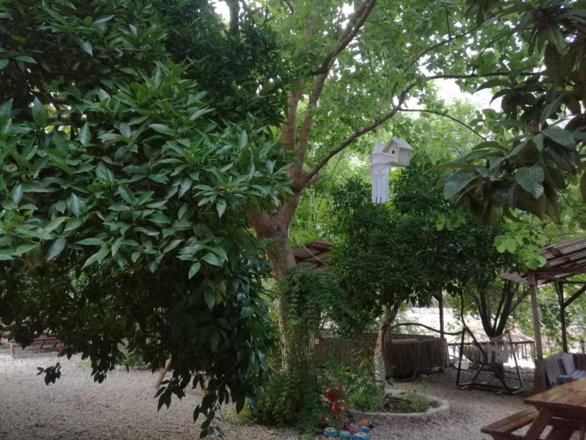 Olympos Yakamoz Pansiyon Buitenkant foto