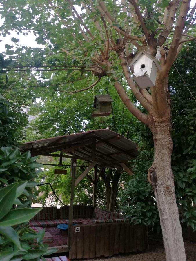 Olympos Yakamoz Pansiyon Buitenkant foto