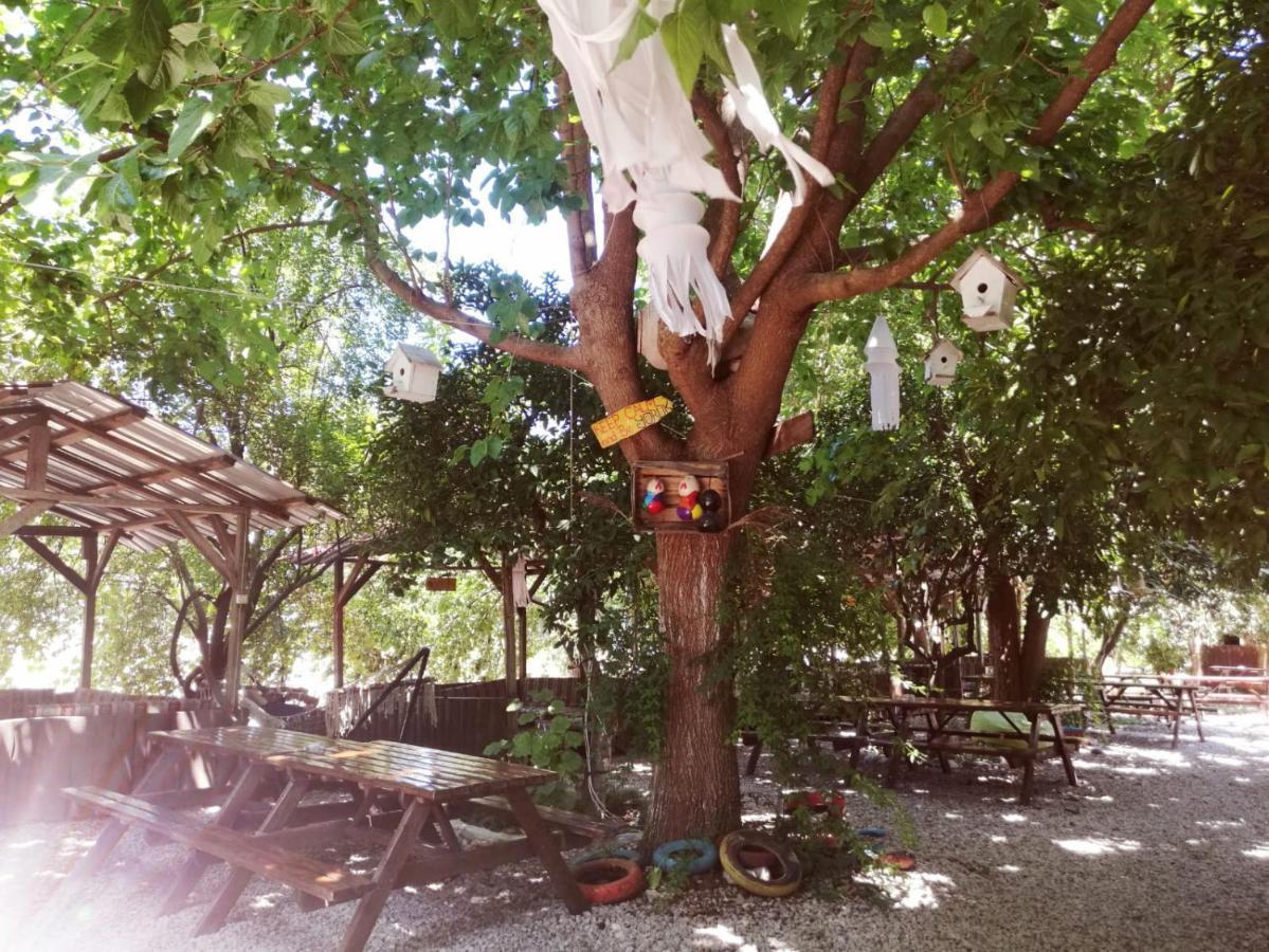 Olympos Yakamoz Pansiyon Buitenkant foto