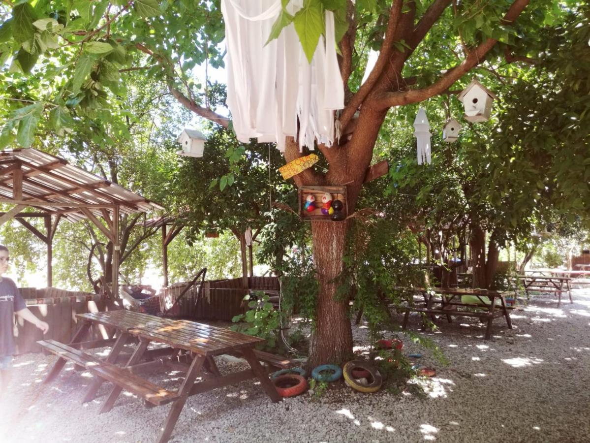 Olympos Yakamoz Pansiyon Buitenkant foto